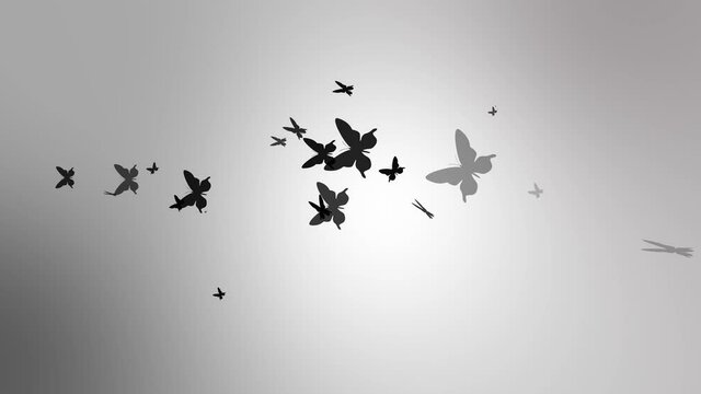 Black butterflies on a gray background, flying butterflies. Baby moths on a gray background