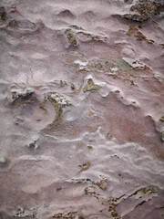 Grey, white and brown rock background