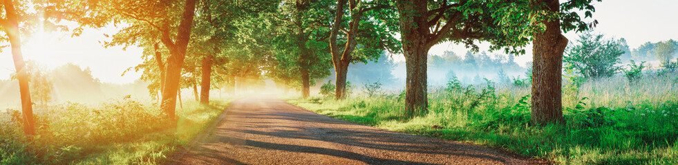 Asphalt road on beautiful early autumnal morning