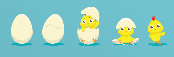 Chicken hatching from the egg. Cartoon baby chick birthday step-by-step process. Funny and educational illustration for kids.