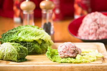 Stuffed cabbage in tomato sauce