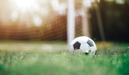 Black and whithe ball lying on green grass