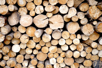 Texture of wood log pile background.