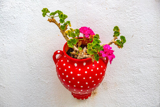 Flores de geranio en un patio Andalud