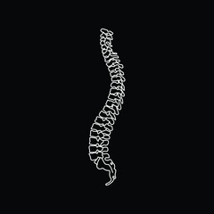Vector human spine isolated silhouette illustration. Spine pain medical center, clinic, institute, rehabilitation, diagnostic, surgery logo element. Spinal icon symbol design. Concept of scoliosis