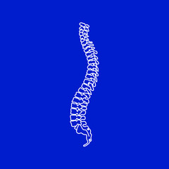 Vector human spine isolated silhouette illustration. Spine pain medical center, clinic, institute, rehabilitation, diagnostic, surgery logo element. Spinal icon symbol design. Concept of scoliosis