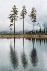 Spiegelung von B&auml;umen in Bergsee