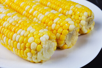 boiled corn on a white square plate, close-up, soft focus