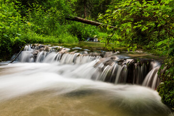 Smooth water cascade at Jelen wild river. Nature water landscape. Landscape park Solska forest at Roztocze, Poland, Europe.