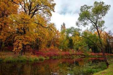 Autumn forest landscape with colored trees with yellow-red foliage, reflected in the lake. Russian Golden autumn.
