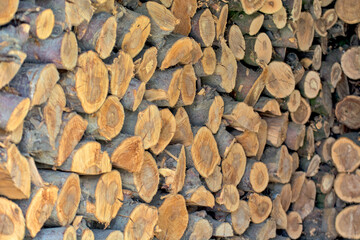 Firewood on the crowd