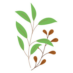 branches foliage forest nature cartoon isolated icon design