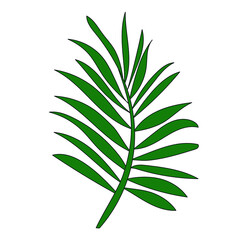 Green branch on a white background