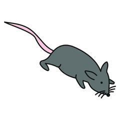 Rat on a white background