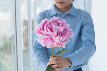 young gentlemen in blue shirt hold huge gentle  pink peony. Congratulations with birthday, mother's day, anniversary, valentines day. Holiday concept
