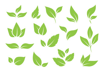 Green tree leaves. Various shapes of green leaves of trees and plants. Elements for eco and bio logos. Vector illustration.