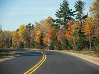 A road beside autumn-colored trees