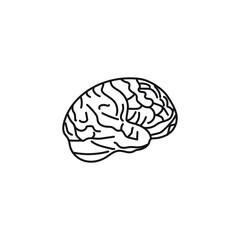 Brain icon vector. Isolated on a white background