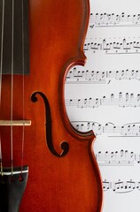 Fototapeta premium Violin.