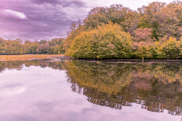 Fototapety na wymiar - Fototapeta24.pl