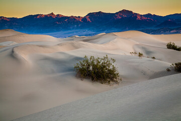 An early morning view of Mesquite Flat sand dunes near Stovepipe Wells in Death Valley National...