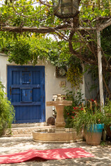 Fototapeta na wymiar Cozy garden with different plants and fountain decorated with beautiful small blue door