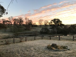 still frosty winter mornings