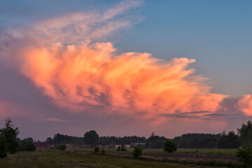 Obraz premium Stormcloud with sunset light on the twilight sky. Huge fluffy cloud in orange and pink colour. Big cumulus clouds over the rural landscape