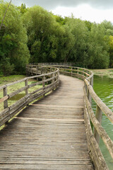 Long wooden bridge above the water. Landscape by the lake with the forest in the background. Summer scene.
