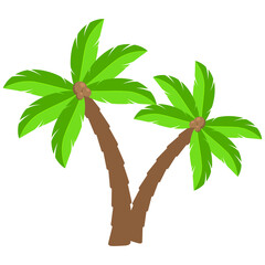 Tropical palm trees cartoon illustration.Two curved coco palm isolated on white.  Exotic palmtree illustration. Paradise plants symbol clipart.Design element for vacations leaflet or advert.