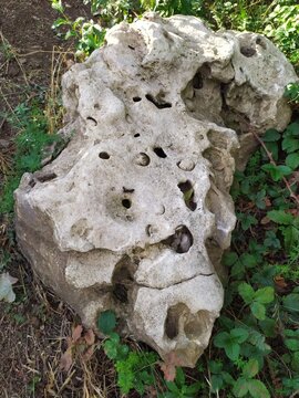 old white stone on the graund