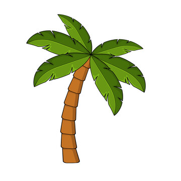 Cartoon Palm Tree Images – Browse 229,903 Stock Photos, Vectors, and ...
