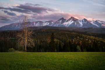 Fototapeta na wymiar Panoramic view of Tatra mounains