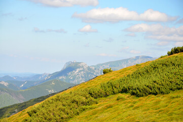 Zielone zbocza górskie, tatry Zachodnie, Słowacja - obrazy, fototapety, plakaty