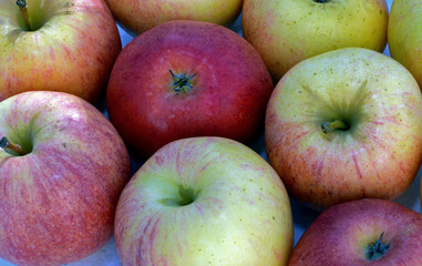 Apples close up