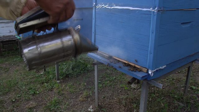 Bee-maker lifestyle beekeeper man and woman working of a smoke pipe beeper smoker device