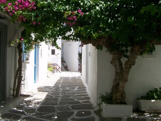 Fototapeta na wymiar Grèce - Les Cyclades - Île de Paros - Ruelle à Naoussa