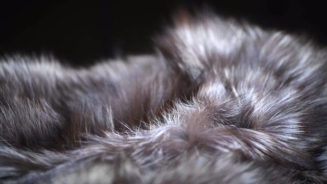 Real silver fox Fur background. Gray with black Fur clothes texture closeup. Backdrop. Slow motion. 4K UHD video