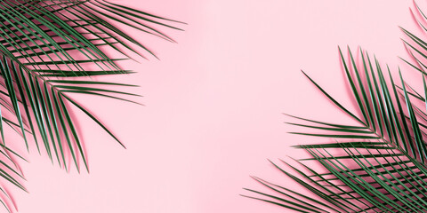 Summer modern composition. Tropical green leaves of palm tree on pastel pink background. Flat lay,...