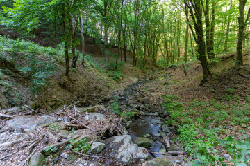 Small creek in the Pilis mountains