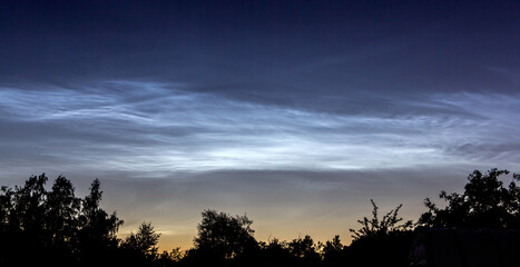 Noctilucent clouds in the night sky, silhouettes of trees against a background of shining clouds.