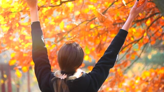 Autumn model girl spinning and laughing in autumnal park, throws colorful leaves. Beautiful Young Woman Having Fun outdoors. Fall. Red and Yellow Leaves. Beauty of Nature. Slow Motion Shot 240 fps 