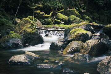 stream flowing over mossy stones