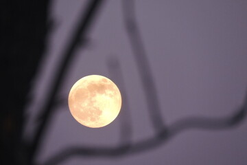 Księżyc Pełnia Księżyca