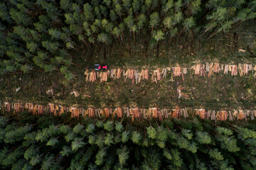 An aerial view of wood harvester clear-cutting a pine grove in Estonian boreal forest, Northern Europe