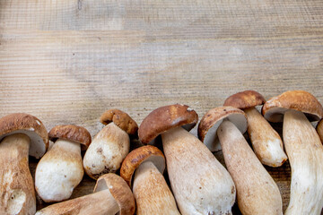 Mushroom Boletus over Wooden Background. Autumn Cep Mushrooms. Ceps Boletus edulis over Wooden Background, close up on wood rustic table. Cooking delicious organic mushroom. Gourmet food
