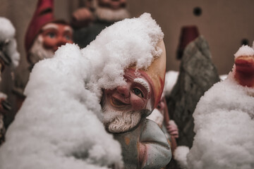 Obraz premium Zwerg mit Schnee