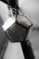 glass metal flower pot in perspective