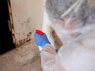 A woman in a protective suit, using a spray gun to spray the affected walls with mold.