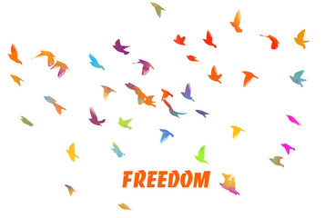 Bird watercolor. A flock of colorful birds. Freedom. Mixed media. Vector illustration